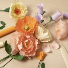 Starter Craft Kit: Learn how to make crepe paper flowers